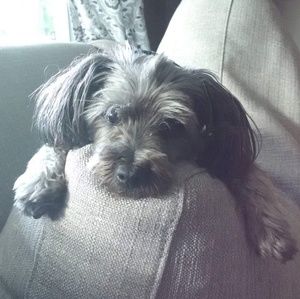 Meet your Posher, Anna